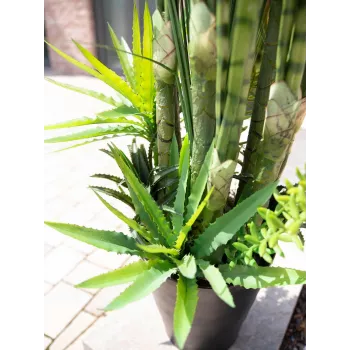 EUROPALMS Mix de suculentas planta artificial, 190 cm 82600035