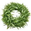 EUROPALMS Corona de lavanda, 30 cm (83500504)