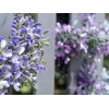EUROPALMS Guirnalda de lavanda artificial, violeta, 180 cm 82503727