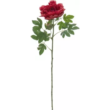 EUROPALMS Classic Peony Branch Planta artificial, magenta, 80 cm 82530211
