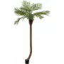 EUROPALMS Luxor Palmera fénix artificial curvada, 240 cm 82510726