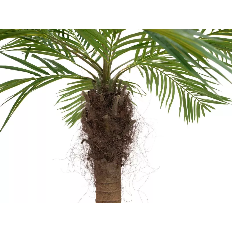 EUROPALMS Luxor Palmera fénix artificial curvada, 240 cm 82510726
