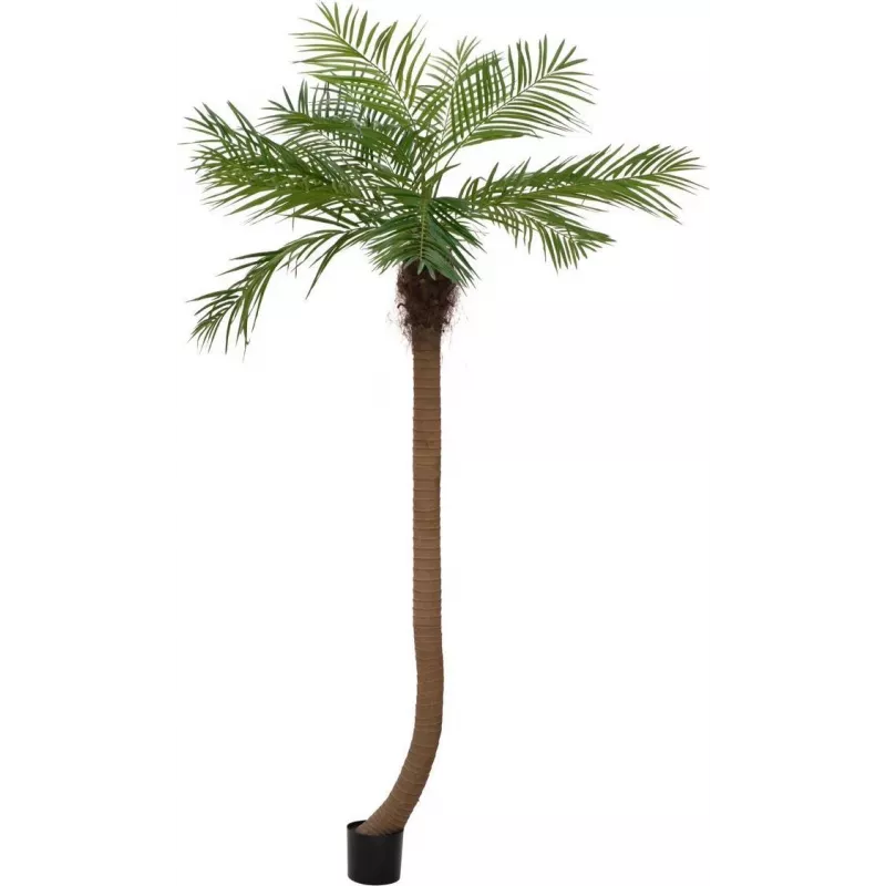 EUROPALMS Luxor Palmera fénix artificial curvada, 240 cm 82510726