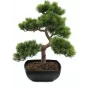 EUROPALMS Pino bonsái planta artificial, 50 cm 82600110