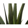 EUROPALMS Planta de aloe vera artificial, 60 cm, maceta negra 82600167