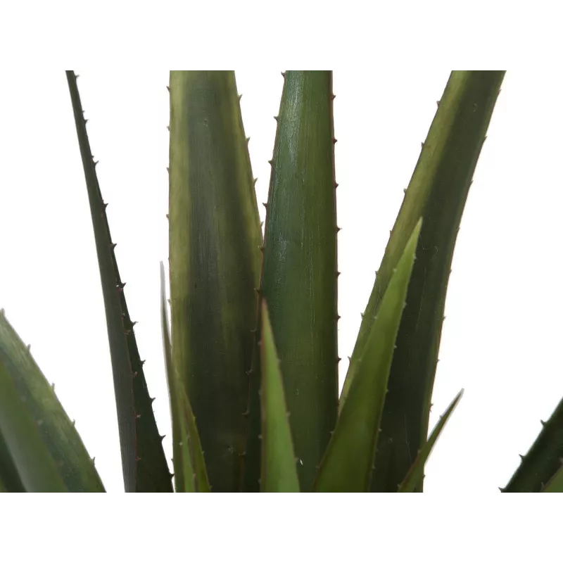 EUROPALMS Planta de aloe vera artificial, 60 cm, maceta negra 82600167