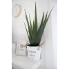 EUROPALMS Planta de aloe vera artificial, 60 cm, maceta negra 82600167