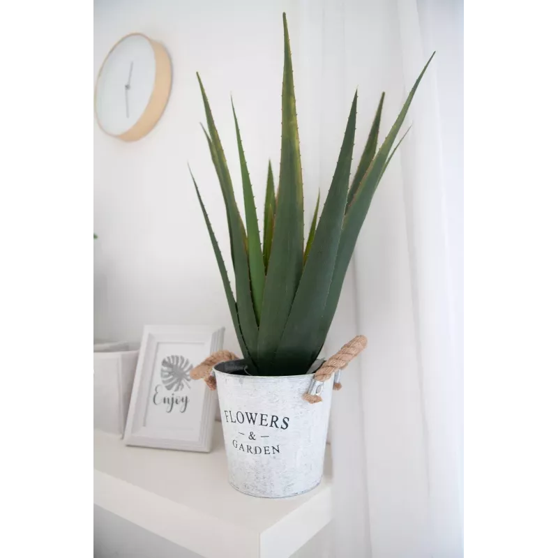 EUROPALMS Planta de aloe vera artificial, 60 cm, maceta negra 82600167