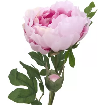 EUROPALMS Rama de peonía Classic, planta artificial, rosa, 80 cm 82530210