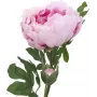 EUROPALMS Rama de peonía Classic, planta artificial, rosa, 80 cm 82530210
