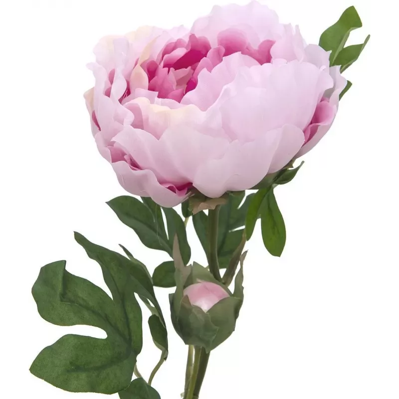 EUROPALMS Rama de peonía Classic, planta artificial, rosa, 80 cm 82530210