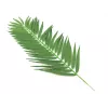 EUROPALMS Hoja de palmera cocotera, artificial, 110 cm, pack de 12 82509897