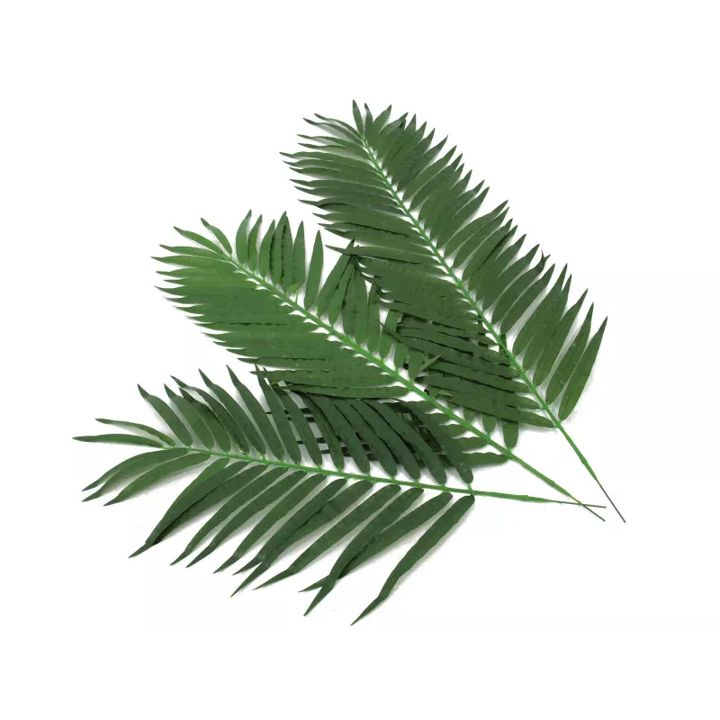 EUROPALMS Hoja de palmera cocotera, artificial, 110 cm, pack de 12 82509897
