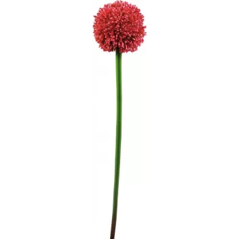 EUROPALMS Tallo de allium artificial, rojo, 55 cm 82530568
