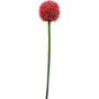 EUROPALMS Tallo de allium artificial, rojo, 55 cm 82530568