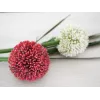 EUROPALMS Tallo de allium artificial, rojo, 55 cm 82530568