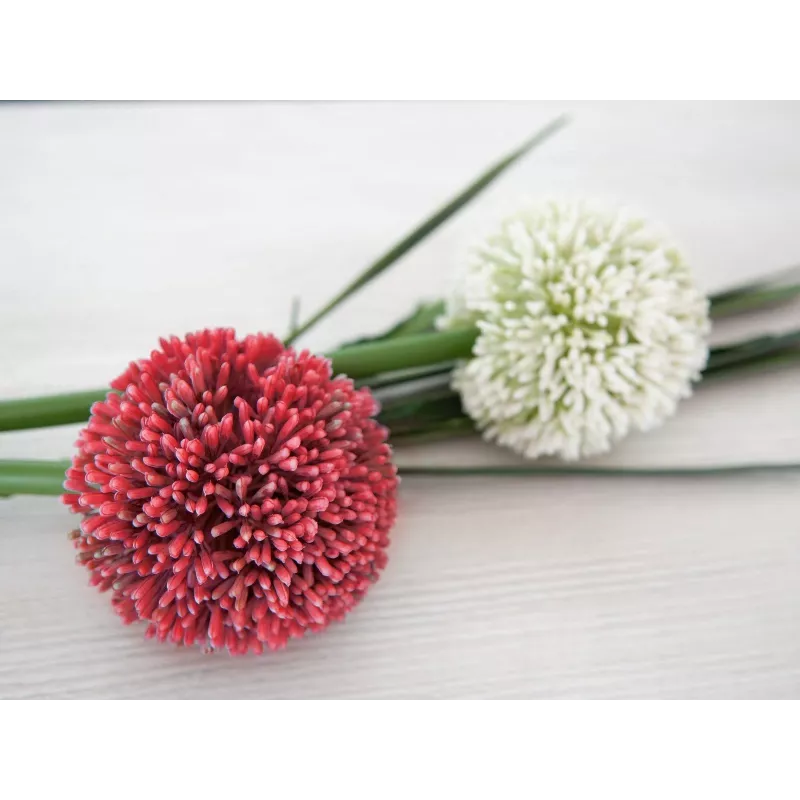 EUROPALMS Tallo de allium artificial, rojo, 55 cm 82530568