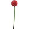 EUROPALMS Tallo de allium artificial, rojo, 55 cm 82530568