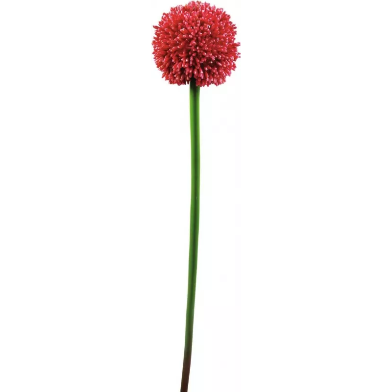 EUROPALMS Tallo de allium artificial, rojo, 55 cm 82530568