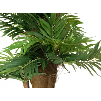 EUROPALMS Planta artificial de palmera areca, 140 cm 82509407