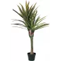 EUROPALMS dracena artificial, 120 cm 82505779