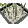 EUROPALMS Bambú artificial en cuenco decorativo, 120 cm 82509261