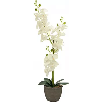EUROPALMS Orquídea planta artificial, crema, 80 cm 82530361