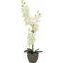 EUROPALMS Orquídea planta artificial, crema, 80 cm 82530361