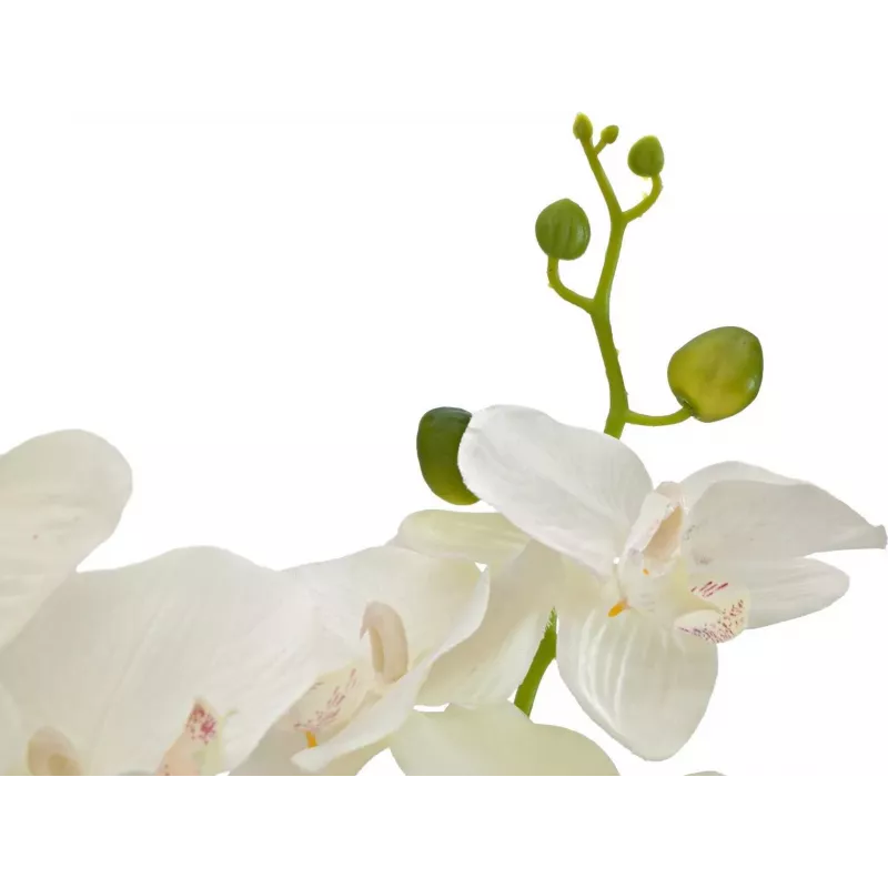 EUROPALMS Orquídea planta artificial, crema, 80 cm 82530361