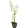 EUROPALMS Orquídea planta artificial, crema, 80 cm 82530361