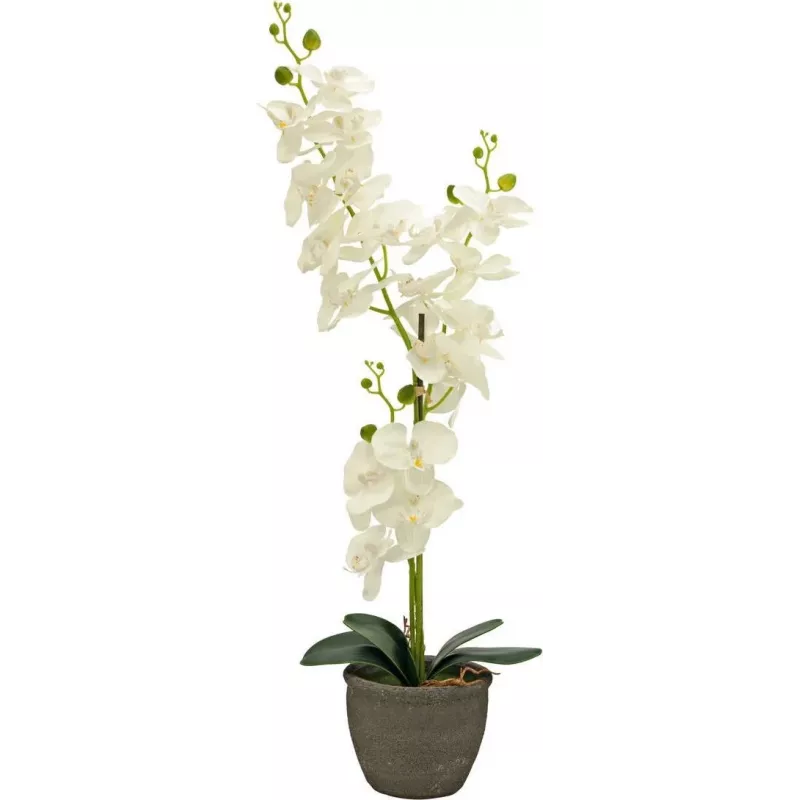 EUROPALMS Orquídea planta artificial, crema, 80 cm 82530361