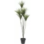 EUROPALMS Planta artificial de palmera yucca, 130 cm 82511552
