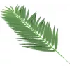 EUROPALMS hojas de palmera cocotera artificiales, 90 cm, 12 piezas, verde 82509896