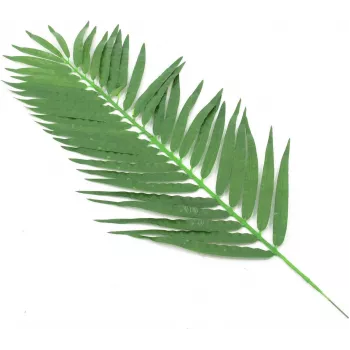 EUROPALMS hojas de palmera cocotera artificiales, 90 cm, 12 piezas, verde 82509896