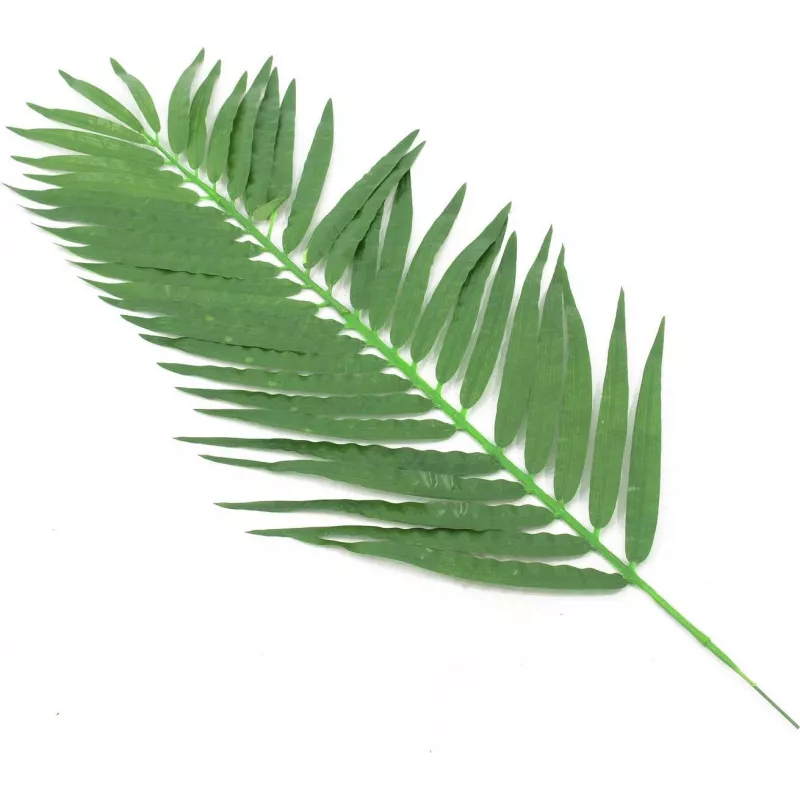 EUROPALMS hojas de palmera cocotera artificiales, 90 cm, 12 piezas, verde 82509896