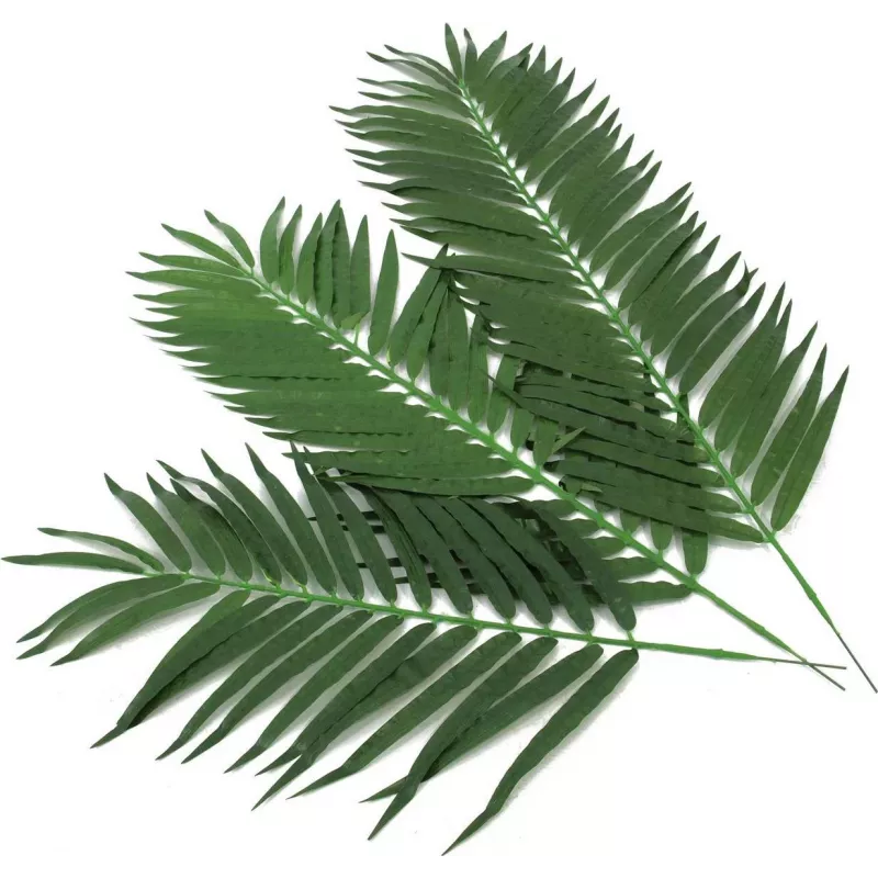 EUROPALMS hojas de palmera cocotera artificiales, 90 cm, 12 piezas, verde 82509896
