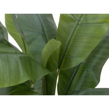 EUROPALMS bananero artificial, 120cm, hojas verdes realistas, maceta negra 82509537