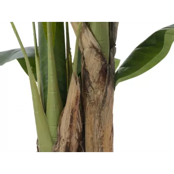 EUROPALMS bananero artificial, 120cm, hojas verdes realistas, maceta negra 82509537
