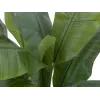 EUROPALMS bananero artificial, 120cm, hojas verdes realistas, maceta negra 82509537