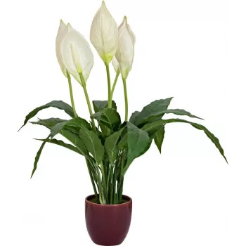 EUROPALMS lirio de la paz artificial, 60 cm 82505660