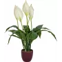 EUROPALMS espatifilo artificial, 60 cm 82505660