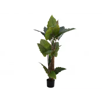 EUROPALMS Planta artificial de alocasia, 140 cm, verde, maceta negra 82508464