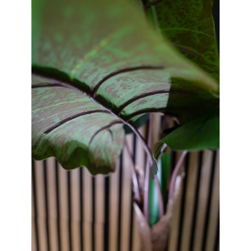 EUROPALMS Planta artificial de alocasia, 140 cm, verde, maceta negra 82508464