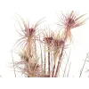 EUROPALMS Planta de hierba artificial Sunny, 120 cm, verde con maceta negra 82600172