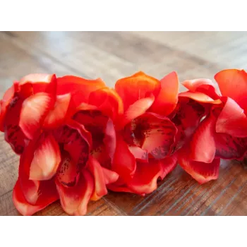 EUROPALMS Rama de cymbidium, artificial, roja, 90 cm (82530315)