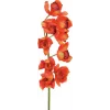 EUROPALMS Rama de cymbidium, artificial, roja, 90 cm (82530315)