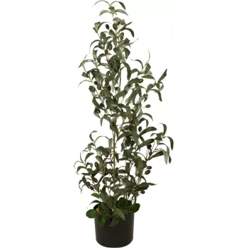 EUROPALMS olivo artificial, 90 cm 82506422