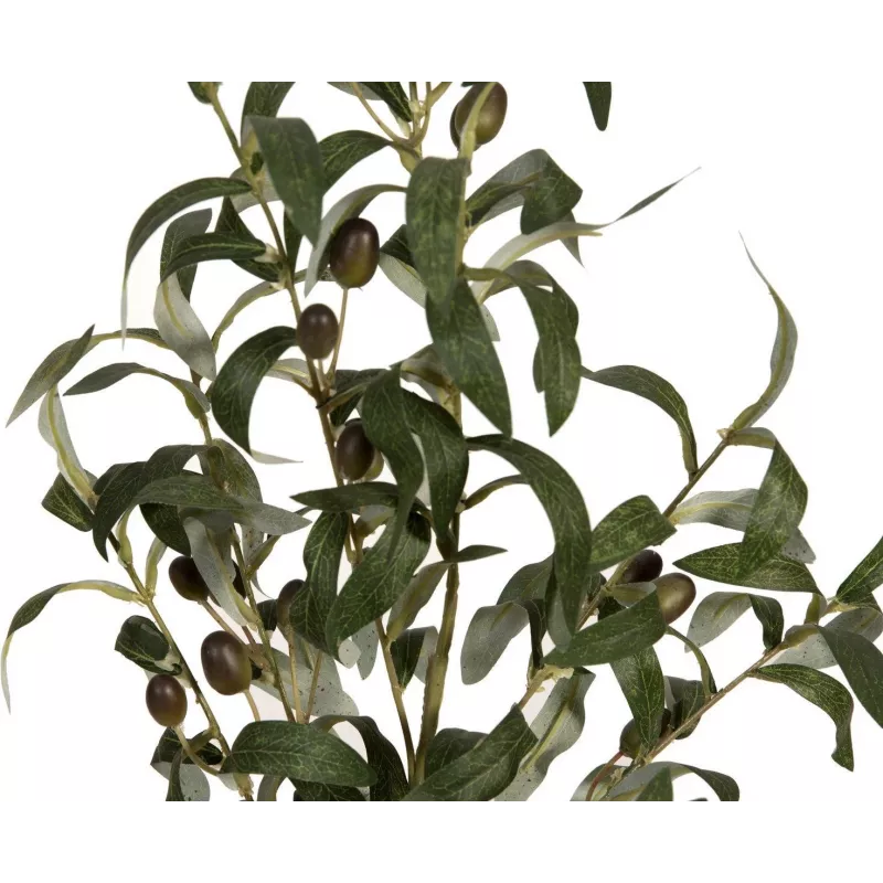 EUROPALMS olivo artificial, 90 cm 82506422