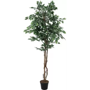 EUROPALMS Ficus benjamina plateado planta artificial, 180 cm 82506116