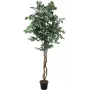EUROPALMS Ficus benjamina plateado planta artificial, 180 cm 82506116